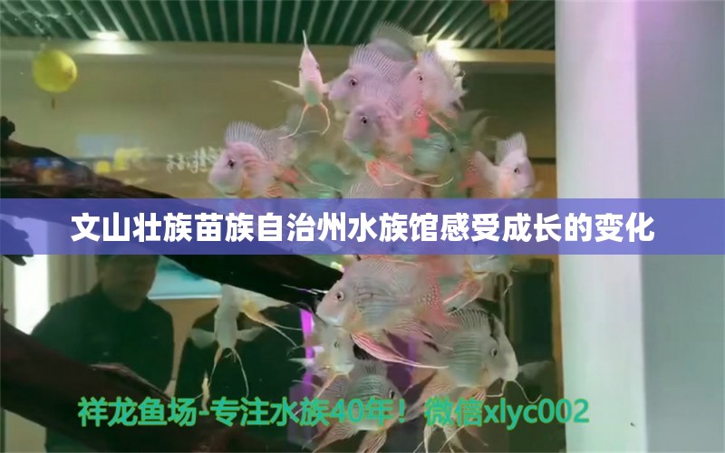 文山壯族苗族自治州水族館感受成長(zhǎng)的變化 白化巴西龜（白巴）