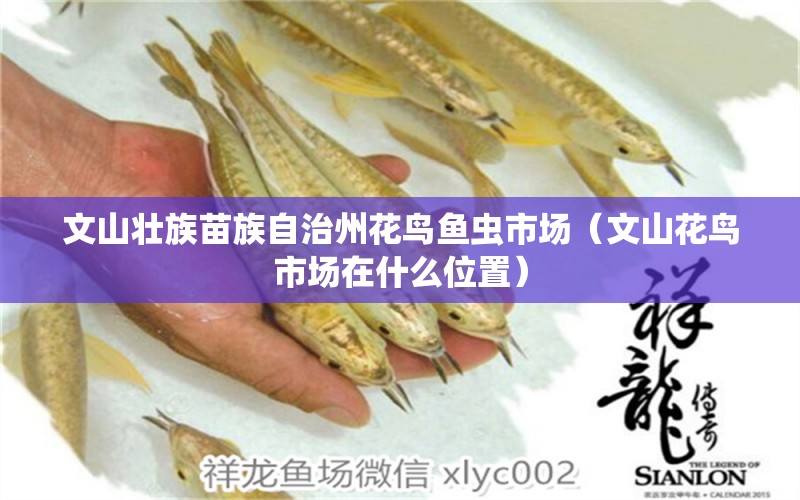 文山壯族苗族自治州花鳥(niǎo)魚(yú)蟲(chóng)市場(chǎng)（文山花鳥(niǎo)市場(chǎng)在什么位置）