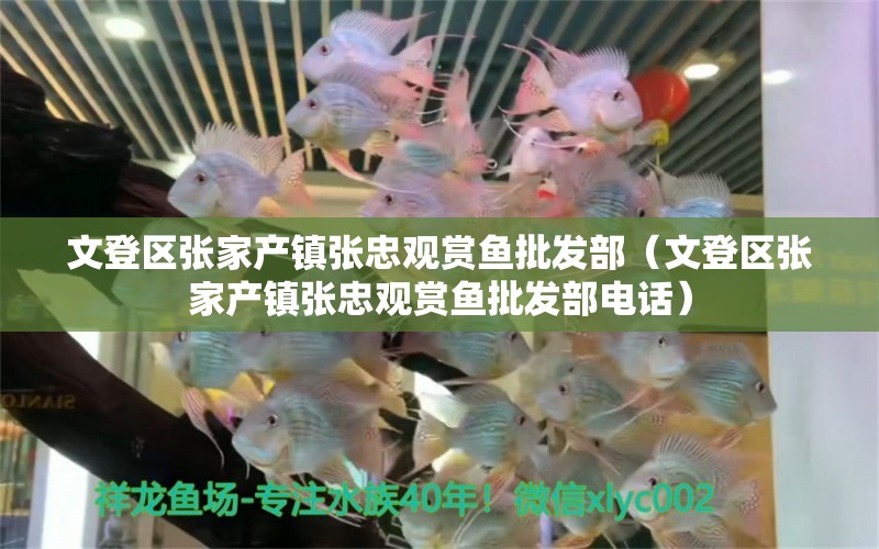 文登區(qū)張家產(chǎn)鎮(zhèn)張忠觀賞魚批發(fā)部（文登區(qū)張家產(chǎn)鎮(zhèn)張忠觀賞魚批發(fā)部電話）