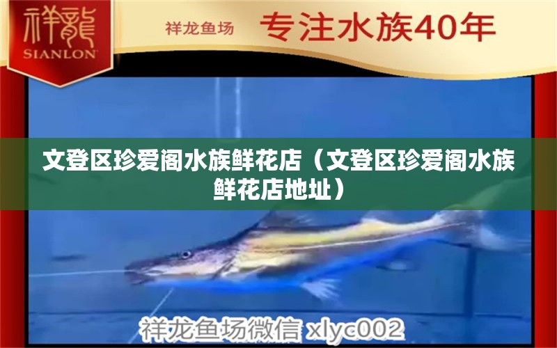 文登區(qū)珍愛閣水族鮮花店（文登區(qū)珍愛閣水族鮮花店地址） 全國水族館企業(yè)名錄