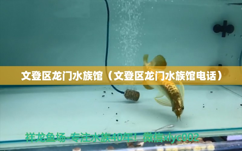 文登區(qū)龍門水族館（文登區(qū)龍門水族館電話） 全國水族館企業(yè)名錄