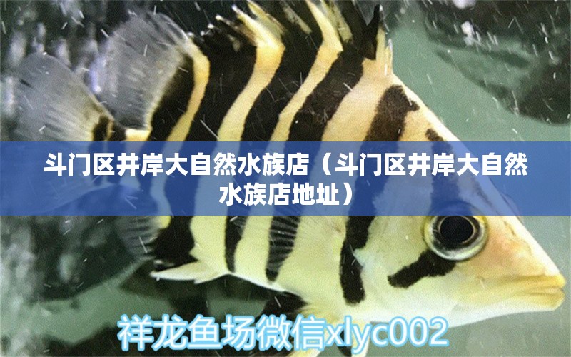 斗門區(qū)井岸大自然水族店（斗門區(qū)井岸大自然水族店地址）