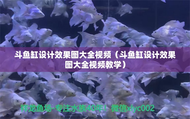 斗魚缸設(shè)計效果圖大全視頻（斗魚缸設(shè)計效果圖大全視頻教學(xué)） 非洲象鼻魚