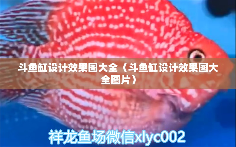 斗魚缸設(shè)計效果圖大全（斗魚缸設(shè)計效果圖大全圖片）