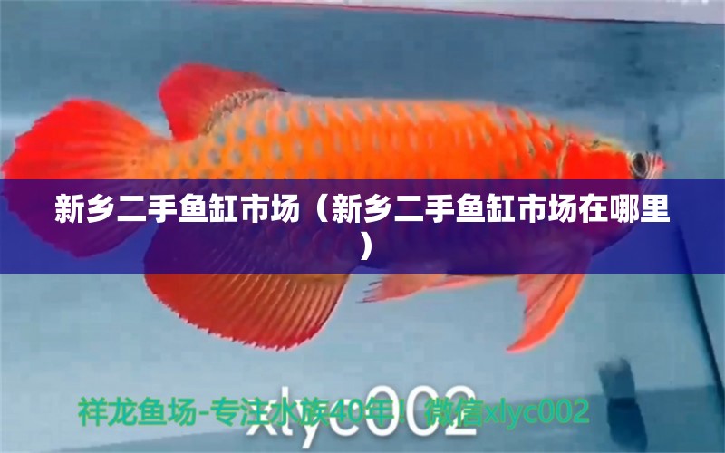 新鄉(xiāng)二手魚缸市場（新鄉(xiāng)二手魚缸市場在哪里）