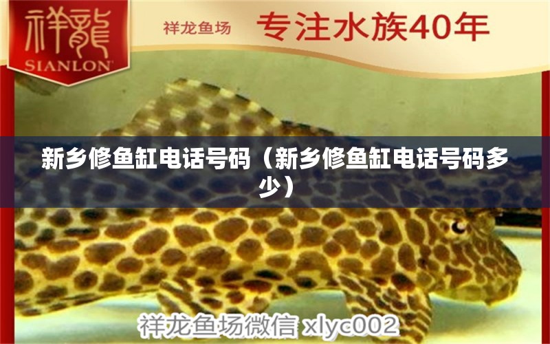 新鄉(xiāng)修魚缸電話號碼（新鄉(xiāng)修魚缸電話號碼多少） 其他品牌魚缸