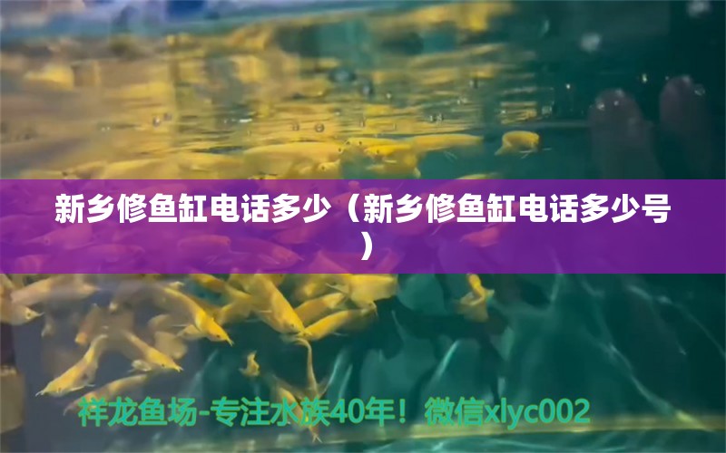 新鄉(xiāng)修魚缸電話多少（新鄉(xiāng)修魚缸電話多少號） 其他品牌魚缸