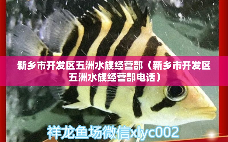 新鄉(xiāng)市開發(fā)區(qū)五洲水族經(jīng)營部（新鄉(xiāng)市開發(fā)區(qū)五洲水族經(jīng)營部電話）