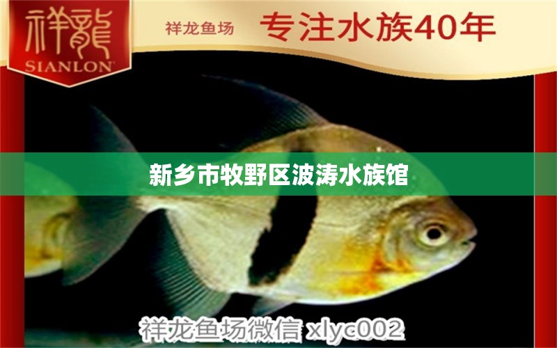 新鄉(xiāng)市牧野區(qū)波濤水族館 全國(guó)水族館企業(yè)名錄