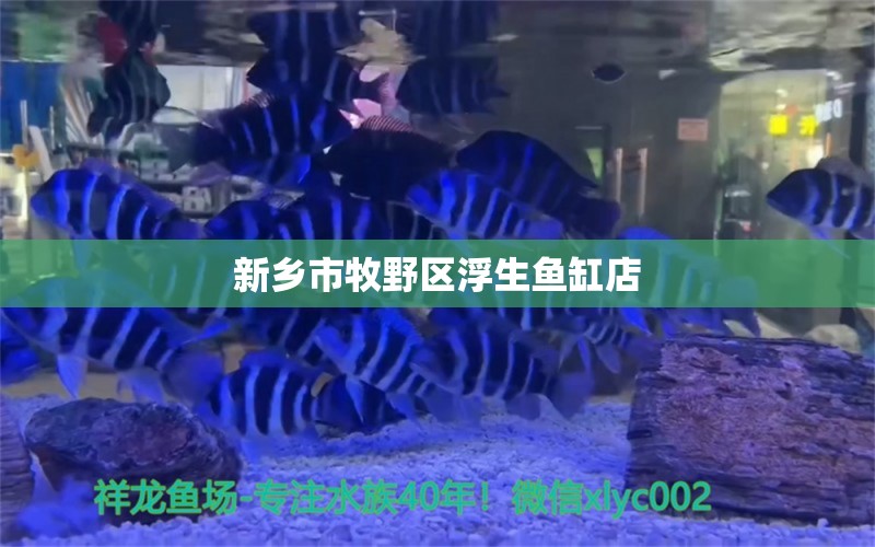 新鄉(xiāng)市牧野區(qū)浮生魚缸店 全國(guó)水族館企業(yè)名錄