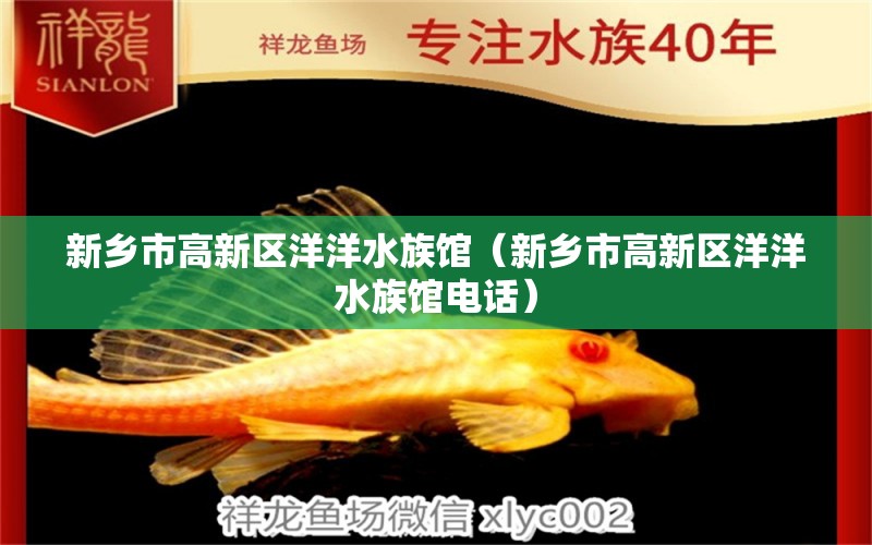 新鄉(xiāng)市高新區(qū)洋洋水族館（新鄉(xiāng)市高新區(qū)洋洋水族館電話） 全國水族館企業(yè)名錄