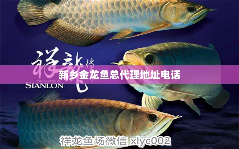 新鄉(xiāng)金龍魚(yú)總代理地址電話