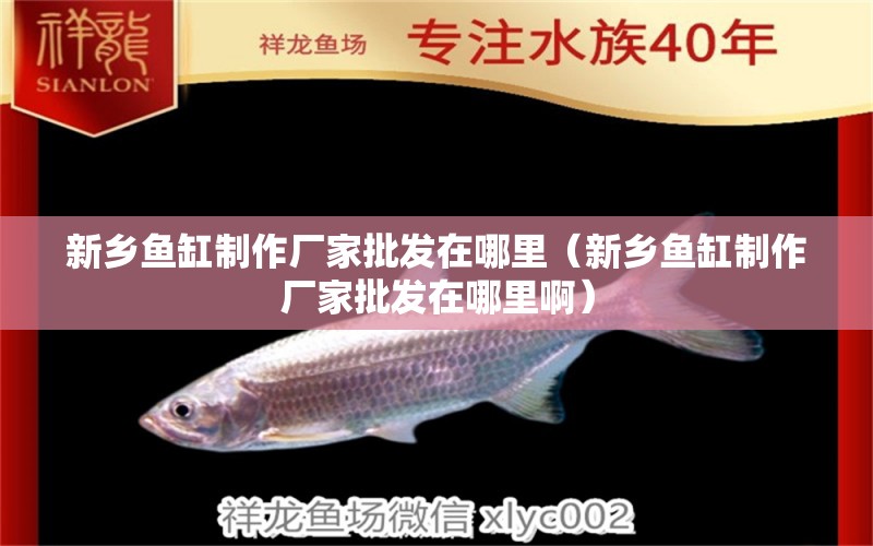 新鄉(xiāng)魚缸制作廠家批發(fā)在哪里（新鄉(xiāng)魚缸制作廠家批發(fā)在哪里?。? title=