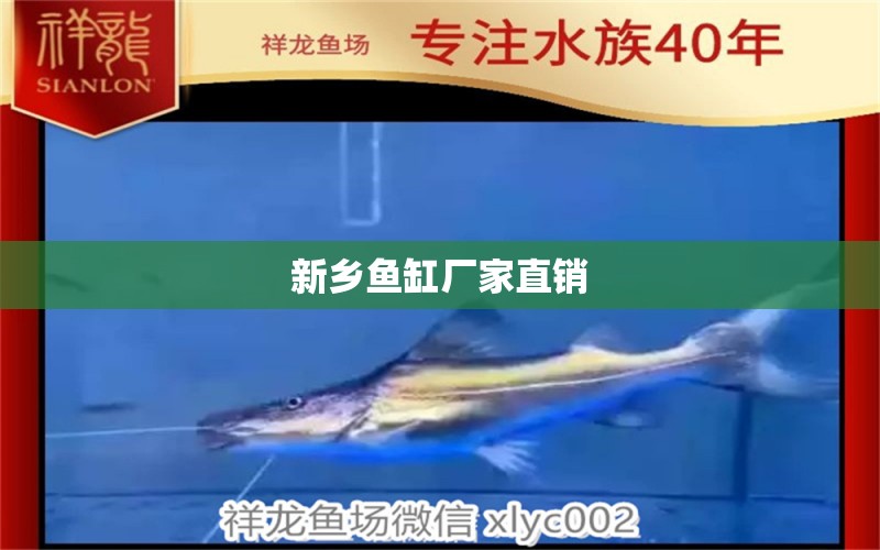 新鄉(xiāng)魚缸廠家直銷