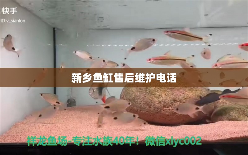 新鄉(xiāng)魚缸售后維護電話 其他品牌魚缸