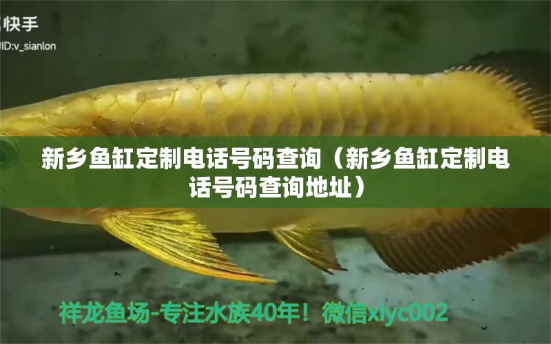 新鄉(xiāng)魚缸定制電話號(hào)碼查詢（新鄉(xiāng)魚缸定制電話號(hào)碼查詢地址） 廣州龍魚批發(fā)市場