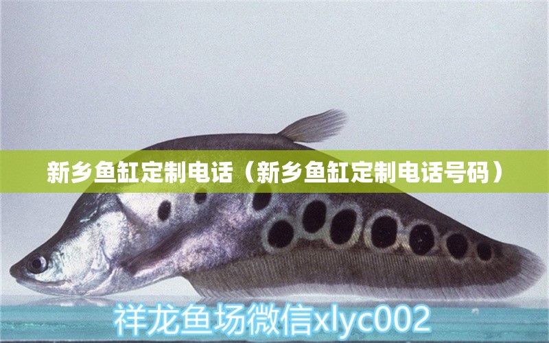 新鄉(xiāng)魚缸定制電話（新鄉(xiāng)魚缸定制電話號碼）