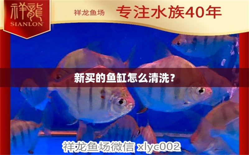 新買的魚缸怎么清洗？ 觀賞魚