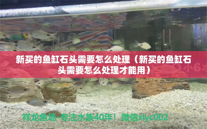 新買的魚缸石頭需要怎么處理（新買的魚缸石頭需要怎么處理才能用）