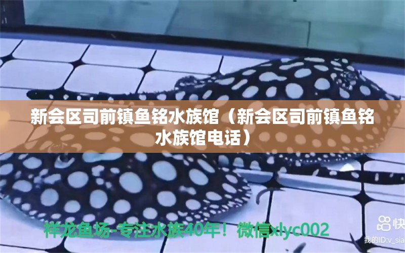 新會(huì)區(qū)司前鎮(zhèn)魚銘水族館（新會(huì)區(qū)司前鎮(zhèn)魚銘水族館電話）