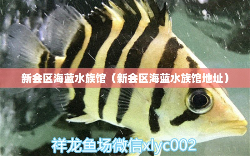 新會(huì)區(qū)海藍(lán)水族館（新會(huì)區(qū)海藍(lán)水族館地址） 全國(guó)水族館企業(yè)名錄