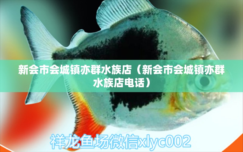 新會市會城鎮(zhèn)亦群水族店（新會市會城鎮(zhèn)亦群水族店電話） 全國水族館企業(yè)名錄