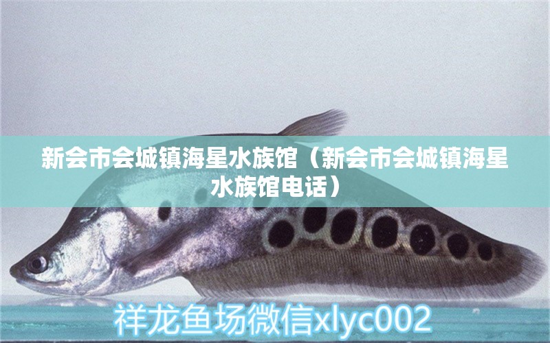 新會(huì)市會(huì)城鎮(zhèn)海星水族館（新會(huì)市會(huì)城鎮(zhèn)海星水族館電話） 全國水族館企業(yè)名錄