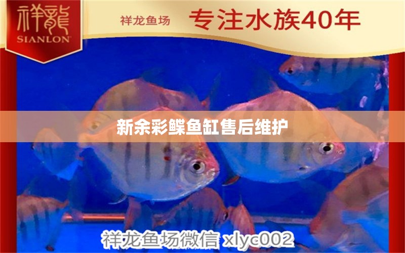 新余彩鰈魚缸售后維護(hù) 彩鰈魚缸（彩蝶魚缸）