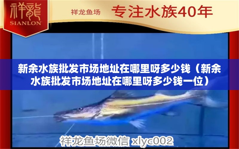 新余水族批發(fā)市場地址在哪里呀多少錢（新余水族批發(fā)市場地址在哪里呀多少錢一位） 觀賞魚水族批發(fā)市場