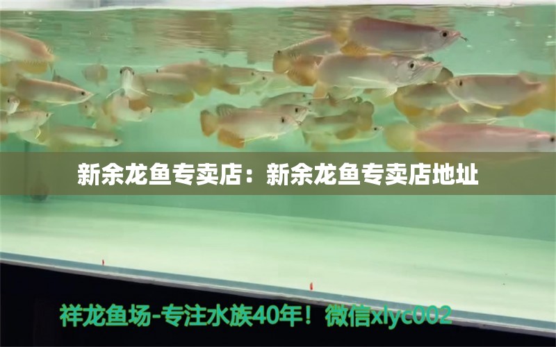 新余龍魚專賣店：新余龍魚專賣店地址