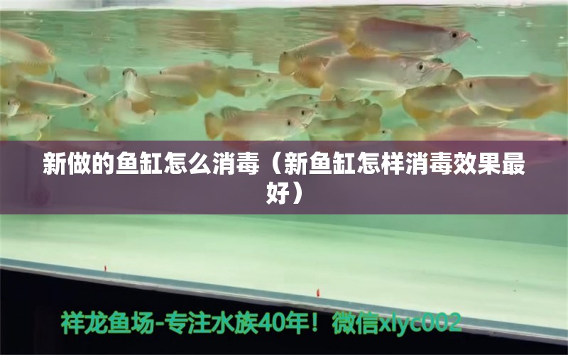 新做的魚(yú)缸怎么消毒（新魚(yú)缸怎樣消毒效果最好）