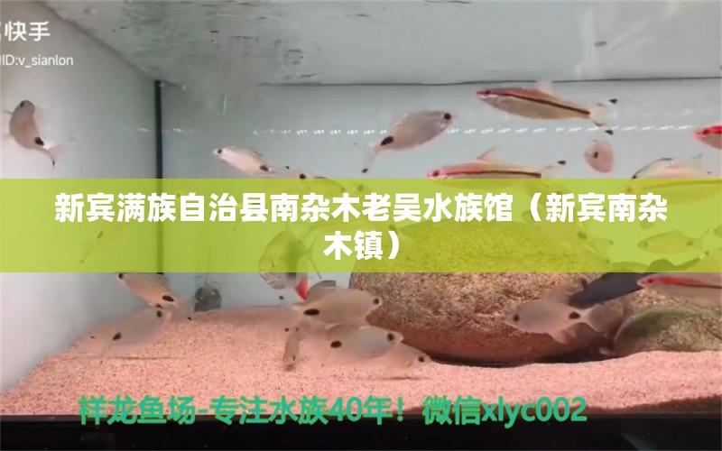 新賓滿族自治縣南雜木老吳水族館（新賓南雜木鎮(zhèn)）