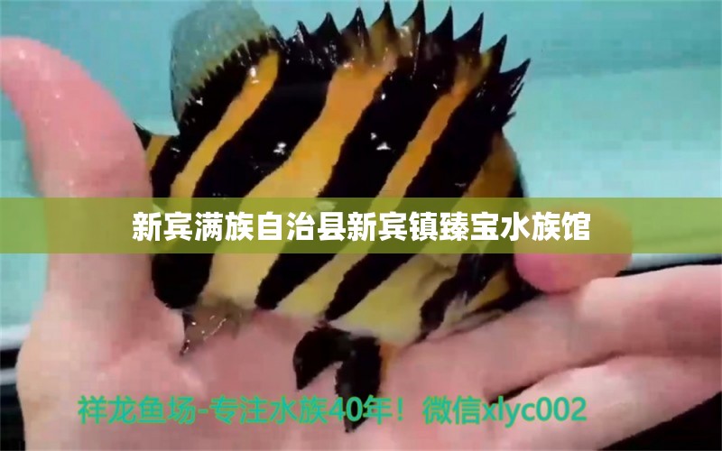 新賓滿族自治縣新賓鎮(zhèn)臻寶水族館