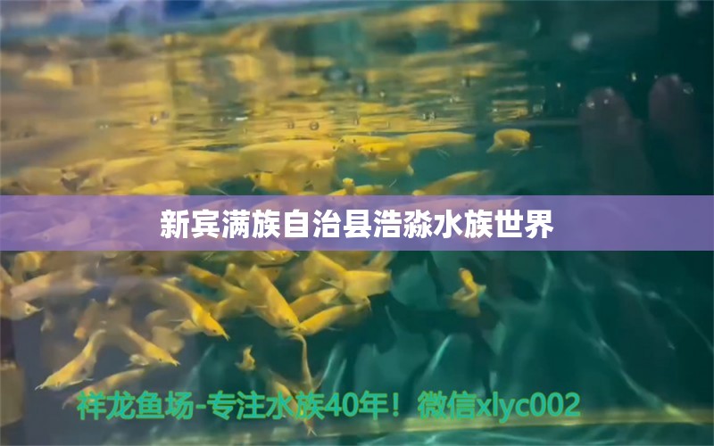 新賓滿族自治縣浩淼水族世界