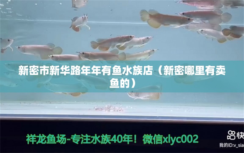 新密市新華路年年有魚水族店（新密哪里有賣魚的） 全國水族館企業(yè)名錄