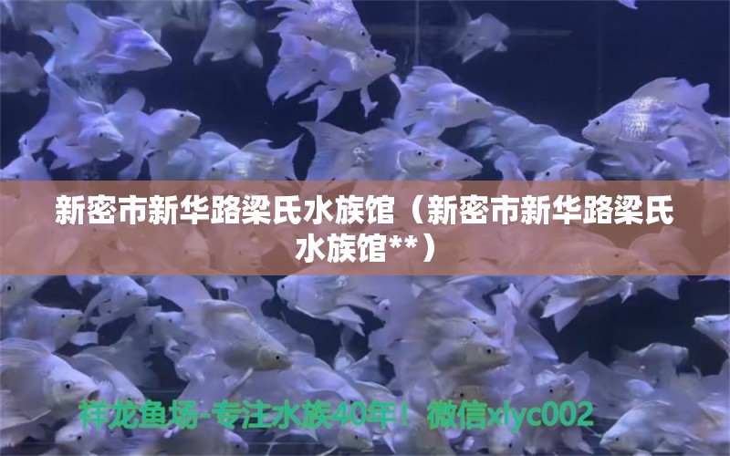 新密市新華路梁氏水族館（新密市新華路梁氏水族館**）