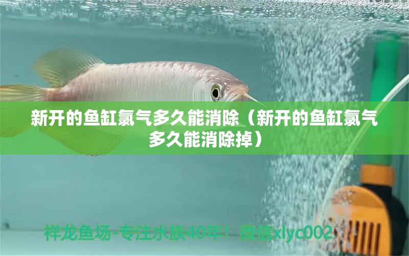 新開(kāi)的魚(yú)缸氯氣多久能消除（新開(kāi)的魚(yú)缸氯氣多久能消除掉）