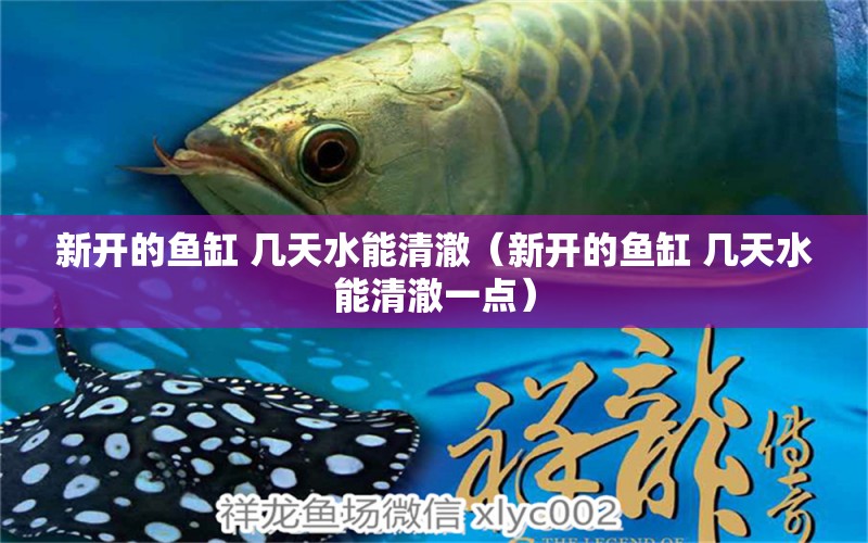 新開(kāi)的魚(yú)缸 幾天水能清澈（新開(kāi)的魚(yú)缸 幾天水能清澈一點(diǎn)）