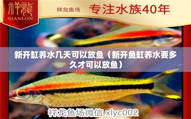 新開缸養(yǎng)水幾天可以放魚（新開魚缸養(yǎng)水要多久才可以放魚）