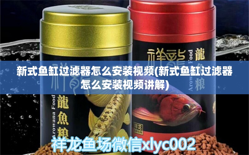 新式魚(yú)缸過(guò)濾器怎么安裝視頻(新式魚(yú)缸過(guò)濾器怎么安裝視頻講解) 球鯊魚(yú)