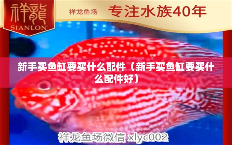 新手買魚缸要買什么配件（新手買魚缸要買什么配件好） 祥龍魚藥系列