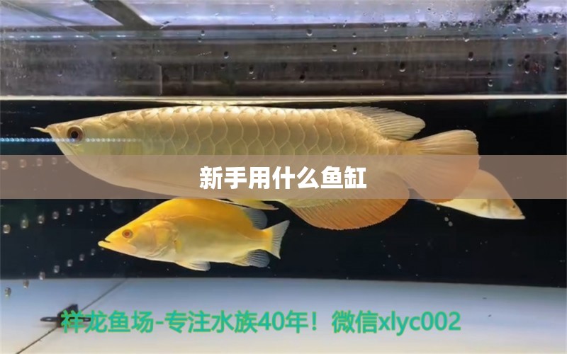 新手用什么魚缸