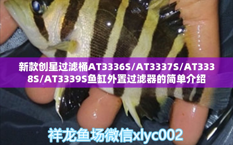 新款創(chuàng)星過濾桶AT3336S/AT3337S/AT3338S/AT3339S魚缸外置過濾器的簡單介紹 廣州水族器材濾材批發(fā)市場 第1張