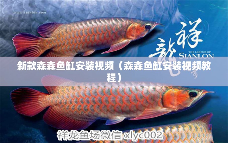 新款森森魚缸安裝視頻（森森魚缸安裝視頻教程） 過(guò)濾設(shè)備