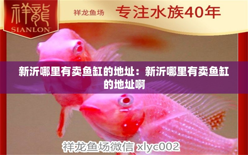 新沂哪里有賣魚缸的地址：新沂哪里有賣魚缸的地址啊 觀賞魚市場（混養(yǎng)魚）