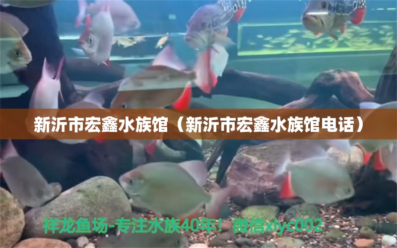 新沂市宏鑫水族館（新沂市宏鑫水族館電話） 全國水族館企業(yè)名錄