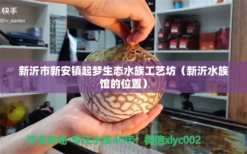 新沂市新安鎮(zhèn)起夢(mèng)生態(tài)水族工藝坊（新沂水族館的位置）