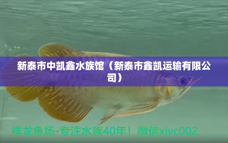 新泰市中凱鑫水族館（新泰市鑫凱運(yùn)輸有限公司） 全國水族館企業(yè)名錄