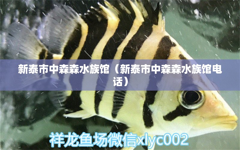 新泰市中森森水族館（新泰市中森森水族館電話） 全國水族館企業(yè)名錄