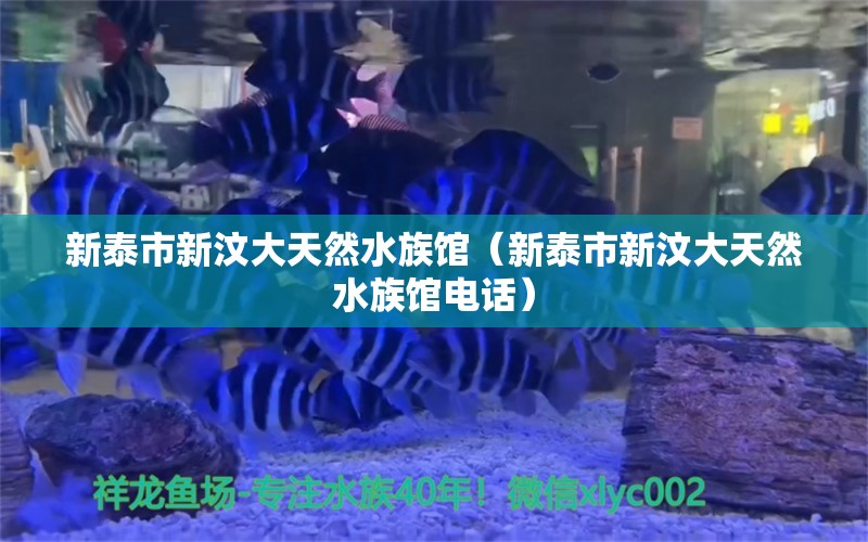 新泰市新汶大天然水族館（新泰市新汶大天然水族館電話） 全國(guó)水族館企業(yè)名錄